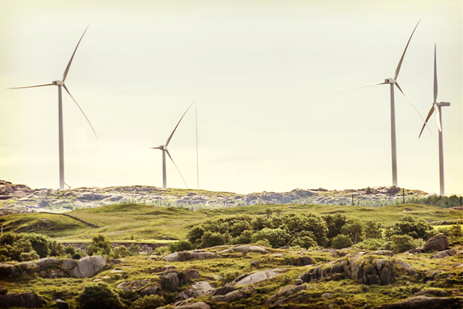 Tetra til Egersund Vindpark