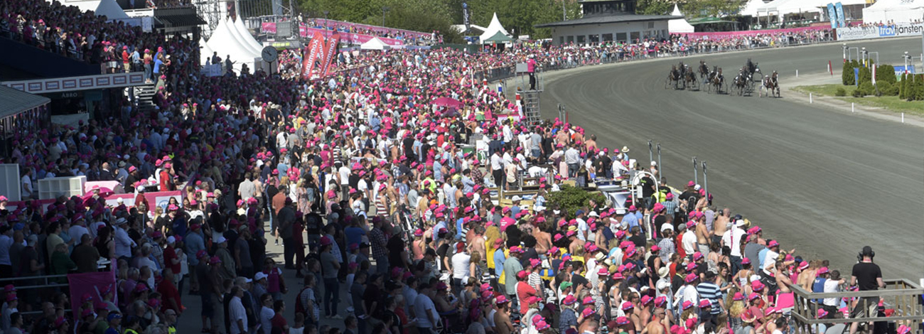 Elitloppet Solvalla